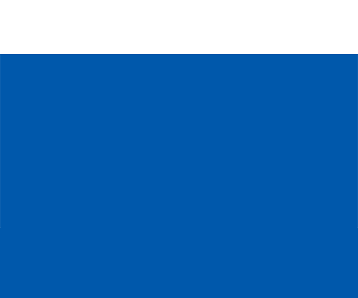 Fengxi Chemical